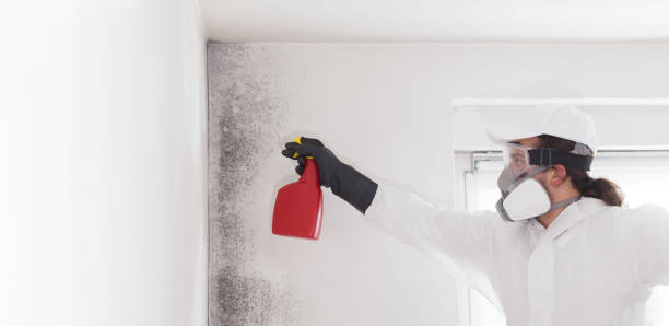 Best Mold Cleaning Services  in Fox Farm College, WY